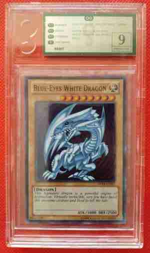 Blue Eyes White Dragon DPKB